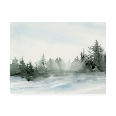Jennifer Paxton Parker 'Evergreens In The Distance I' Canvas Art,35x47